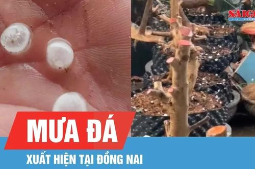 Đồng Nai xuất hiện mưa đá