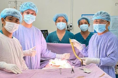Người đàn ông sốc nhiễm trùng vì lươn sống xuyên thủng trực tràng