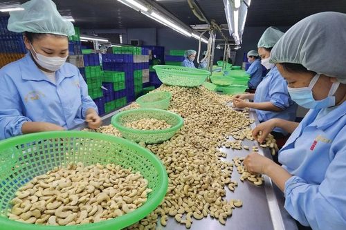 Nghịch lý mặt hàng top đầu thế giới của Việt Nam: Nhập khẩu cao hơn xuất khẩu