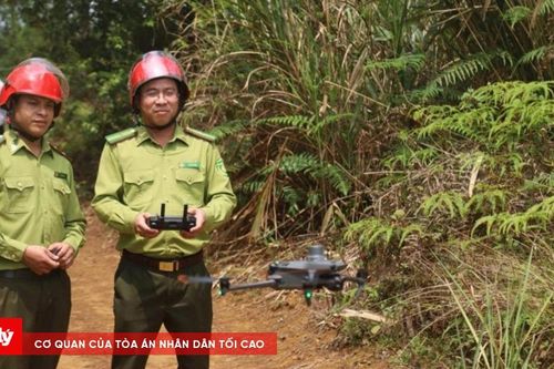 Ứng dụng flycam giữ rừng mùa khô ở Quảng Ngãi