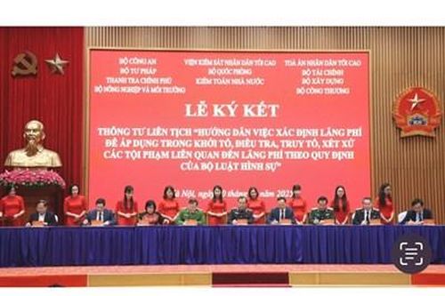 Quy định chi tiết thi hành khoản 5 Điều 131, khoản 3 Điều 132, Điều 141 Bộ luật Tố tụng hình sự