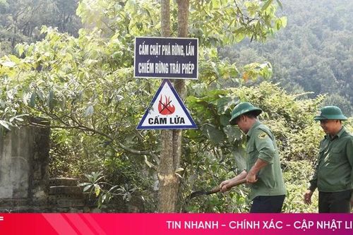 Siết chặt biện pháp phòng, chống cháy rừng ven sông Ngàn Phố