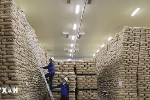 Indonesia lập kỷ lục dự trữ gạo cao nhất lịch sử