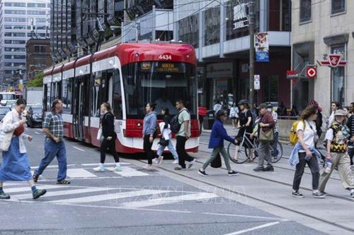 World Cup 2026: 'Phao cứu sinh' cho thị trường việc làm Canada