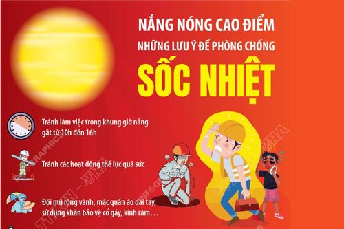 Nắng nóng cao điểm: Những lưu ý để phòng chống sốc nhiệt