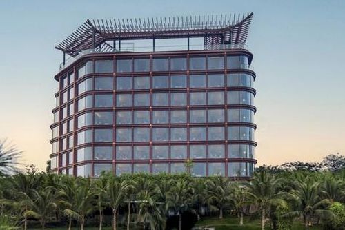 Cổ phiếu OCH tăng trần 4 phiên liên tiếp nhờ kế hoạch M&A, lập đỉnh gần một năm