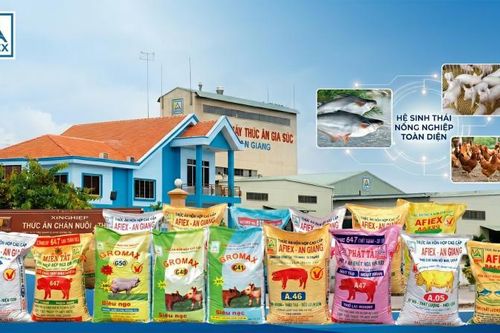 Chiến lược tăng trưởng bằng giá trị của Afiex