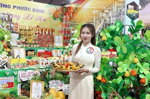 Đồng Nai kỳ vọng nâng tầm hạt điều bằng công nghệ và xúc tiến thương mại