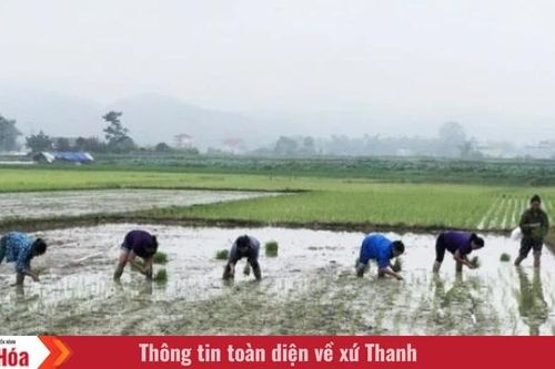 Ngày này năm xưa (25/5): Đảng và Chính phủ quyết định tiến hành đợt 1 cải cách ruộng đất