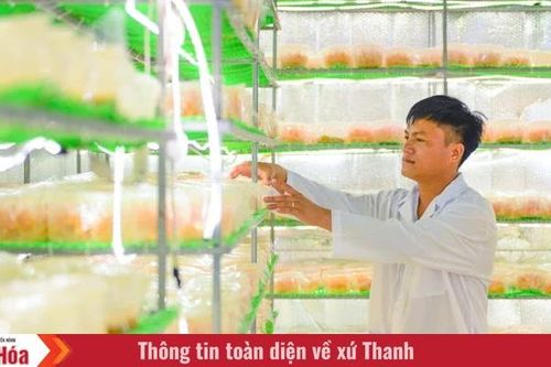 Từ căn phòng lạnh, người đàn ông gây dựng 7 sản phẩm OCOP