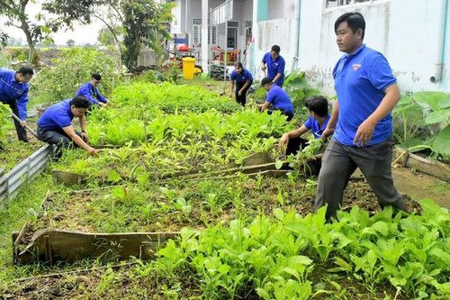 Thanh niên Vĩnh An phát huy sức trẻ xây dựng quê hương
