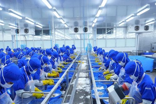Giữ vững đà tăng trưởng, mở rộng thị trường xuất khẩu