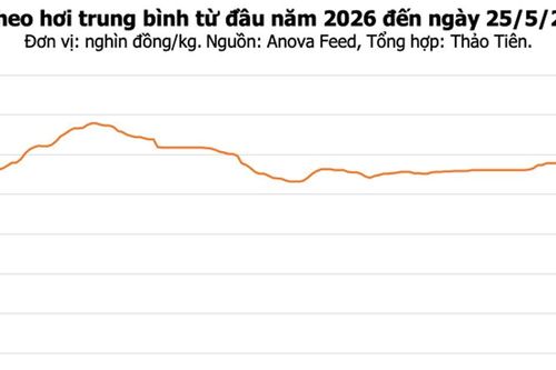 Giá heo hơi hôm nay 25/5: Thị trường đi ngang, dao động 67.000 - 70.000 đồng/kg