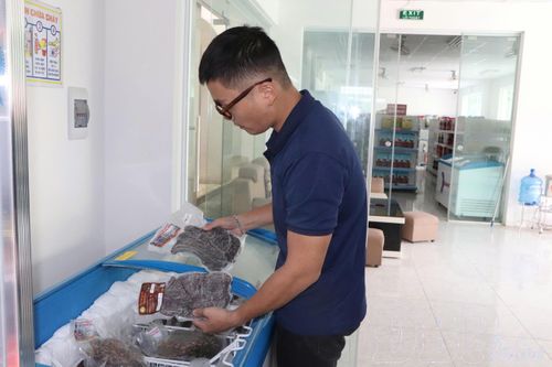 Quản lý và sử dụng nhãn hiệu sản phẩm OCOP