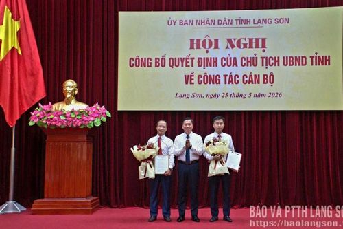 Công bố các quyết định của Chủ tịch UBND tỉnh về công tác cán bộ