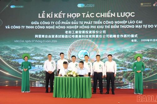 Lào Cai đón làn sóng đầu tư mới từ doanh nghiệp Trung Quốc