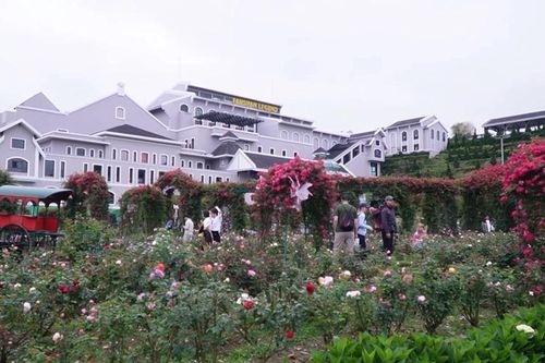 Sa Pa thu hút đầu tư, phát triển dịch vụ, du lịch đẳng cấp thế giới