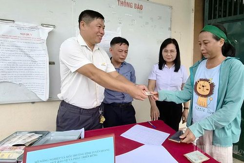 Tạo thuận lợi cho người dân nhận tiền dịch vụ môi trường rừng