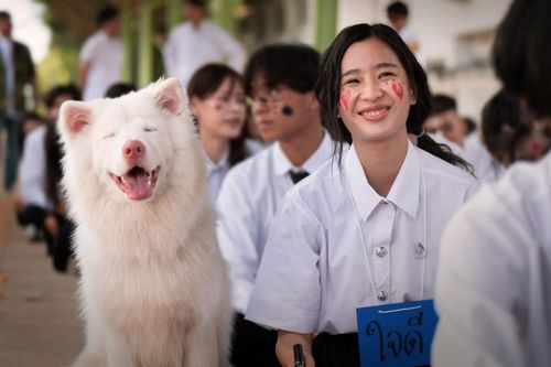'Tạm biệt Gohan' lập kỷ lục tại rạp Việt với doanh thu hơn 30 tỷ đồng