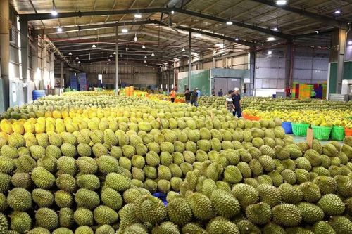 Siết truy xuất nguồn gốc nông sản, Việt Nam tăng tốc chuẩn hóa dữ liệu xuất khẩu