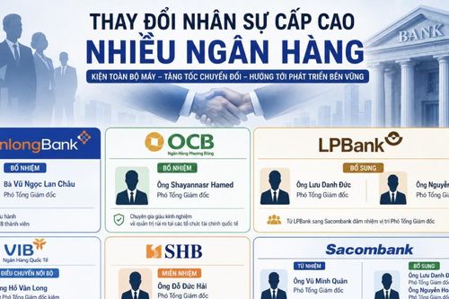 Ngành ngân hàng bùng nổ cuộc đua thay đổi dàn lãnh đạo thượng tầng