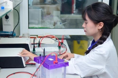 Đến năm 2035, Việt Nam có 50 nhóm nghiên cứu mạnh về khoa học tự nhiên