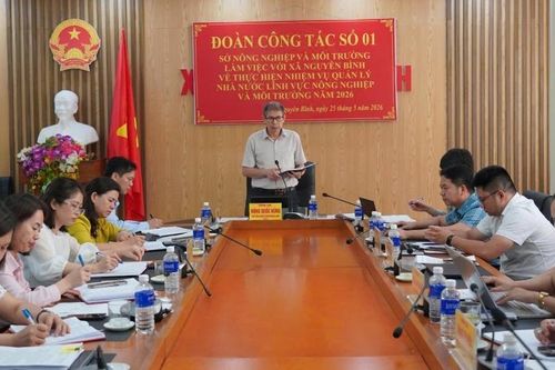 Sở Nông nghiệp và Môi trường làm việc với UBND xã Nguyên Bình