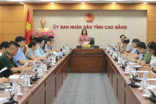 Họp Ban Chỉ đạo Đại hội thể dục thể thao các cấp tỉnh lần thứ X năm 2026