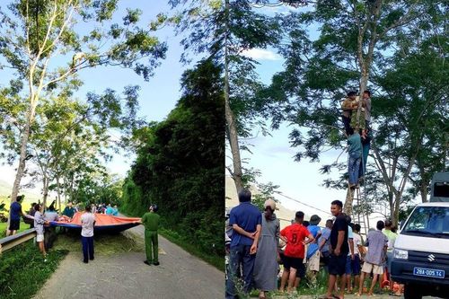 Giải cứu nghẹt thở ở Phú Thọ: Người đàn ông đứng trên cành cây 15m, diễn biến sau đó khiến nhiều người thót tim