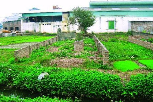 Chuyển đất vườn sang đất ở được tính tiền sử dụng đất ưu đãi ra sao?