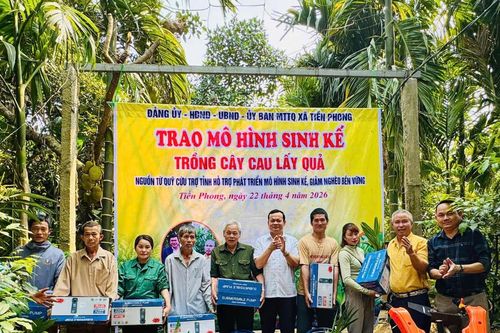Trồng cau lấy quả giúp người dân vùng biên thoát nghèo