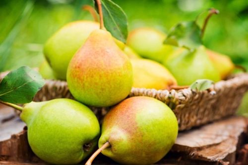 Thực phẩm giàu chất xơ số một
