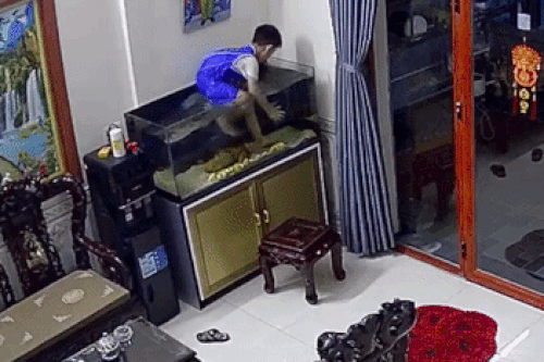 Tá hỏa phát hiện con nhà hàng xóm trèo vào bể nghịch nước, bắt cá