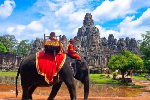 Chuyện đáng buồn cho những con voi ở Angkor Wat