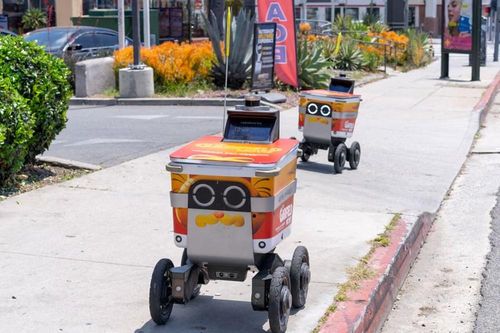 Robot giao hàng tràn ngập Los Angeles, người dân 'vừa thương vừa ghét'