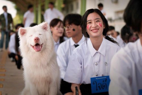 Phim 'Tạm biệt Gohan' xác lập nhiều kỷ lục mới khi khởi chiếu tại Việt Nam