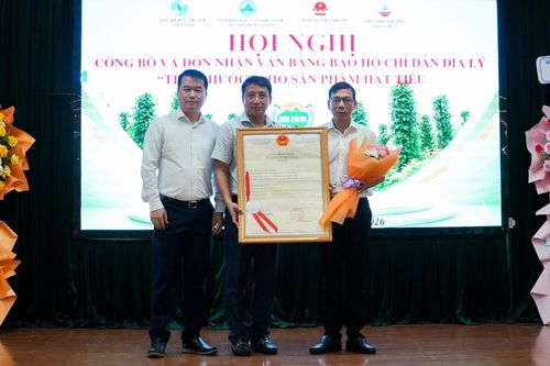 Công bố Chỉ dẫn địa lý cho sản phẩm hạt tiêu 'Tiên Phước'