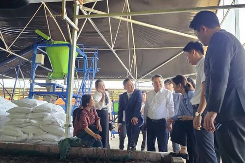 Hải Phòng luôn tạo điều kiện để mô hình ứng dụng KHCN triển khai thuận lợi