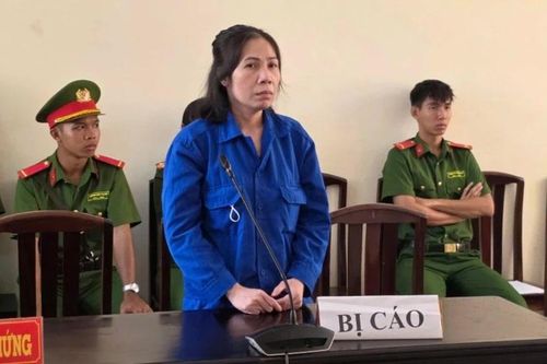 Người phụ nữ lừa góp vốn kinh doanh lĩnh 13 năm tù