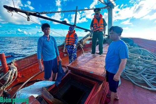 Hải đoàn Biên phòng 28 phát hiện tàu cá vận chuyển khoảng 21.000 lít dầu không có giấy tờ hợp lệ