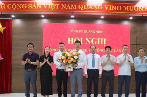 Quảng Ninh tăng cường cán bộ cho cấp xã, phường 'nóng' về đất đai