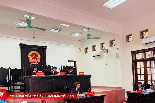 Ngân hàng kiện chủ hộ kinh doanh đòi nợ: Vụ án dân sự hay kinh doanh, thương mại?