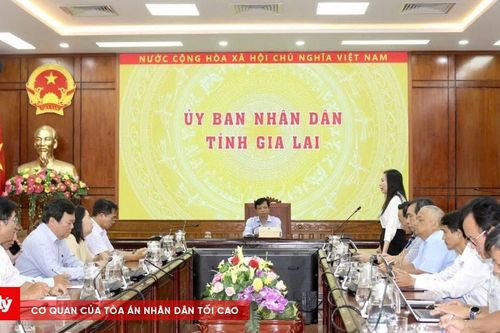 Gia Lai khẩn trương điều tra vụ nghi ngờ ngộ độc bánh mì