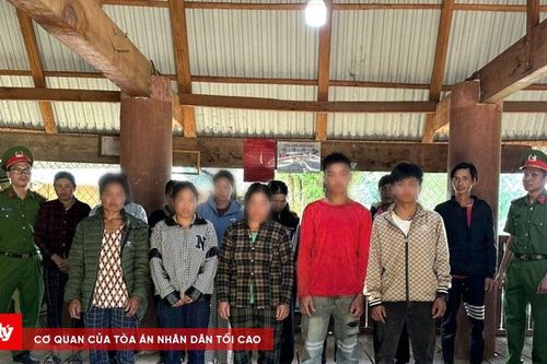 Khởi tố nhiều đối tượng trộm sâm Ngọc Linh