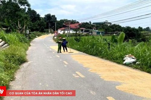 Xử lý nghiêm hành vi đốt rơm rạ và phơi nông sản trái quy định