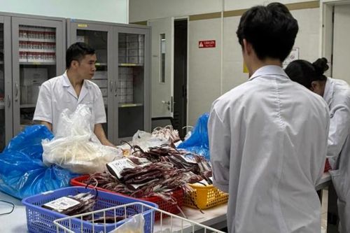 Giám đốc BV Bạch Mai nói về xu hướng mới trong truyền máu