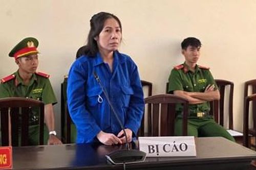 Tuyên phạt người phụ nữ 13 năm tù về tội lừa đảo chiếm đoạt tài sản
