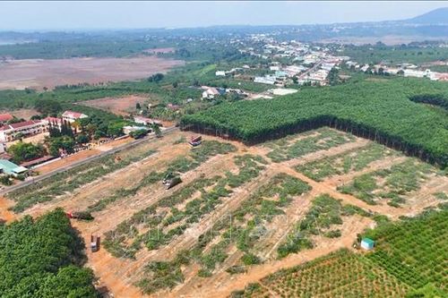 Tái định cư đồng bộ để giữ tiến độ cao tốc Quy Nhơn – Pleiku