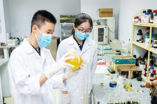 Đạo văn, dữ liệu giả có thể bị cấm tham gia nhiệm vụ khoa học vô thời hạn