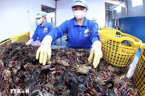 Hỗ trợ 25.000 doanh nghiệp, hộ kinh doanh, HTX kinh doanh bền vững